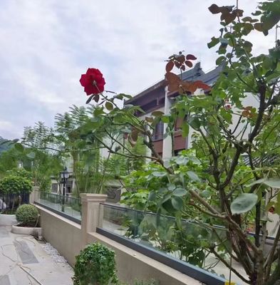 Lớp rào kính nhôm linh hoạt U Channel ngoài trời không khung kính balustrade