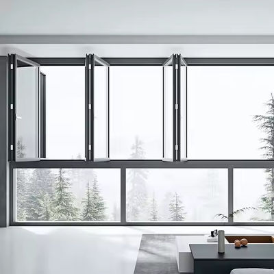 Cửa sổ hai lớp chống bão thương mại với niêm phong cửa sổ và phần cứng EDPM