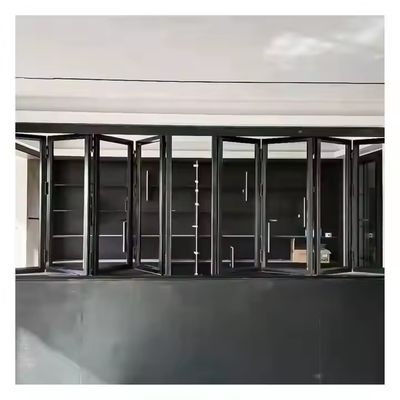 Cửa sổ hai lớp chống bão thương mại với niêm phong cửa sổ và phần cứng EDPM